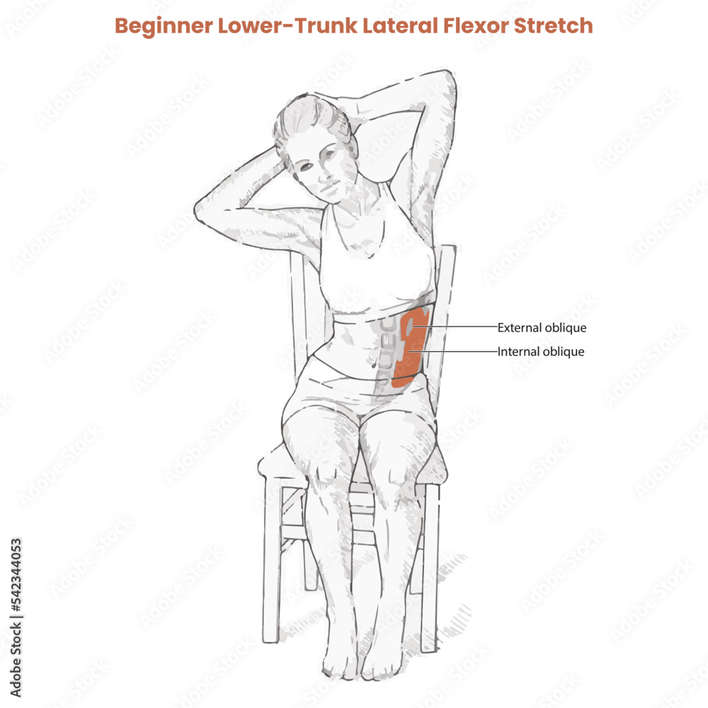 Muscle movement. Biceps triceps motion anatomy. Biceps brachii, flexion, extension. Arm and hand contracts, relax gesture. Illustration vector diagram. Muscle movement. Biceps triceps motion anatomy. Biceps brachii, flexion, extension. Arm and hand contracts, relax gesture. Illustration vector diagram.