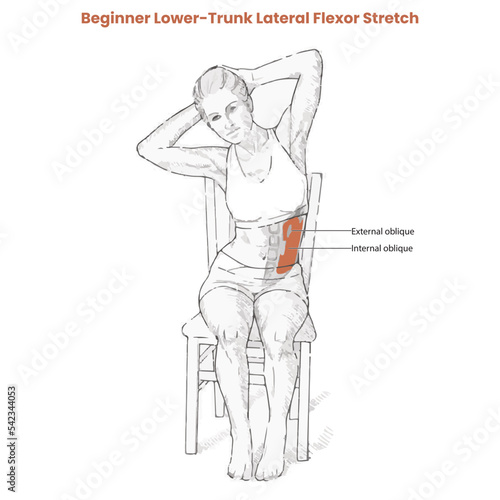 Muscle movement. Biceps triceps motion anatomy. Biceps brachii, flexion, extension. Arm and hand contracts, relax gesture. Illustration vector diagram. © Draw Man
