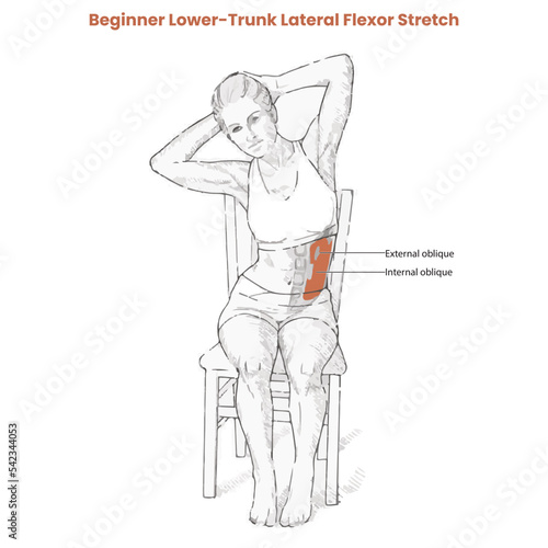 Muscle movement. Biceps triceps motion anatomy. Biceps brachii, flexion, extension. Arm and hand contracts, relax gesture. Illustration vector diagram.