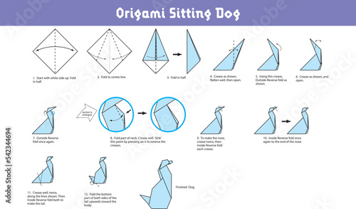 Step by step instructions how to make origami