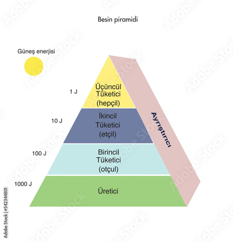 Food pyramid healthy eating infographic. Healthy lifestyle. Icons of Products. vector illustration