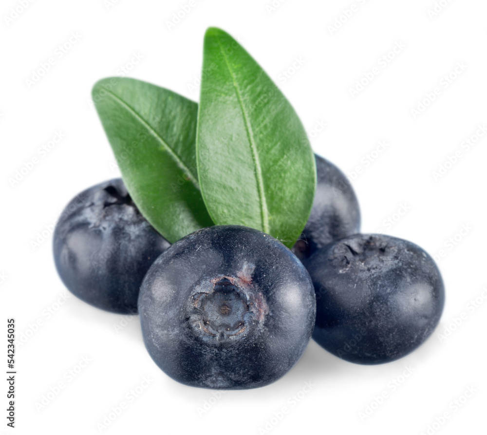 bilberry fruit vegetable isolated on white bilberry fruit vegetable isolated on white