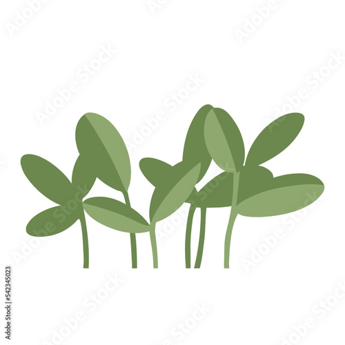 植栽のベクターイラスト