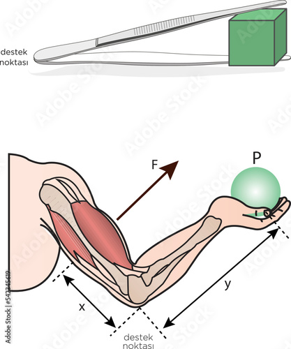Push and Pull force vector illustration. Force, motion and friction concept. Easy science for kids. Educational illustrated scene.