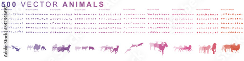 500 Animals - Vector