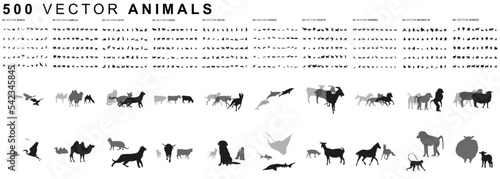 Canvas Print 500 Animals - Vector