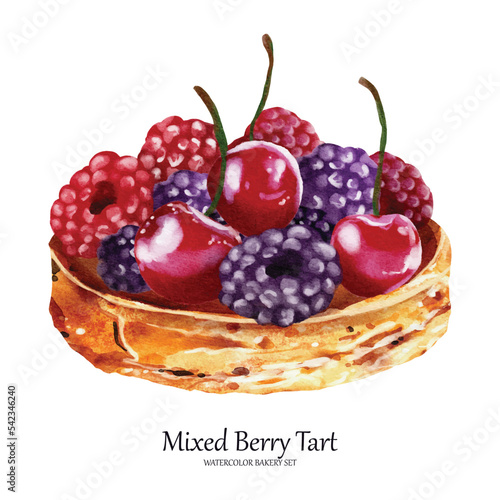 Mixed berry tart watercolor vector element design