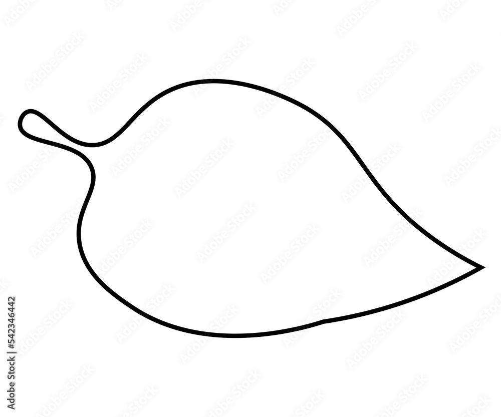 hand drawn illustration of a leaf hand drawn illustration of a leaf
