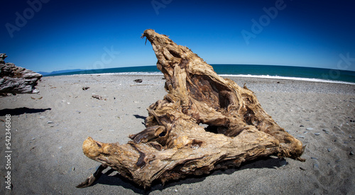 driftwood on the beach © james