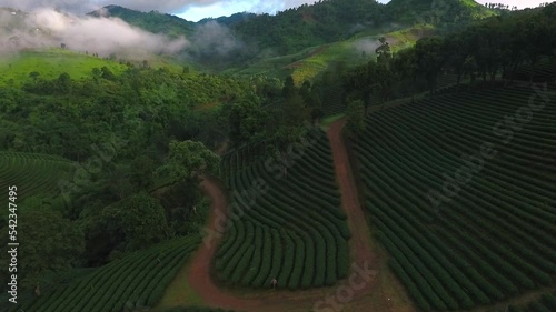 Beautiful morning aerial views at Doi Mae Salong in Chiang Rai, Thailand