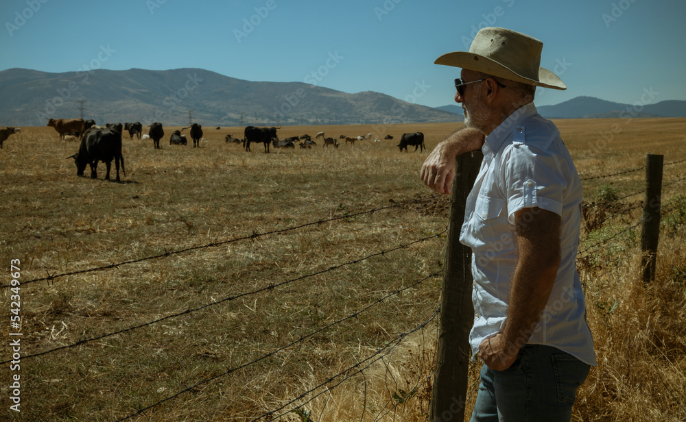 Adult man in cowboy hat in fields. Castilla y Leon, Spain