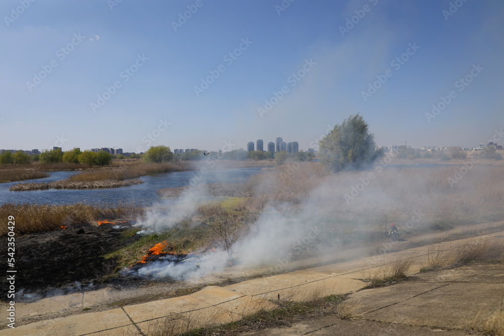 Firefighters try to extinguish a wildfire of vegetation in the Vacaresti park nature reserve.