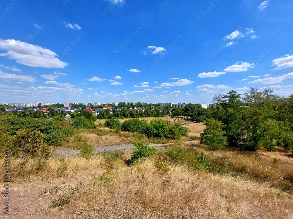 View over a park in the city of Magdeburg