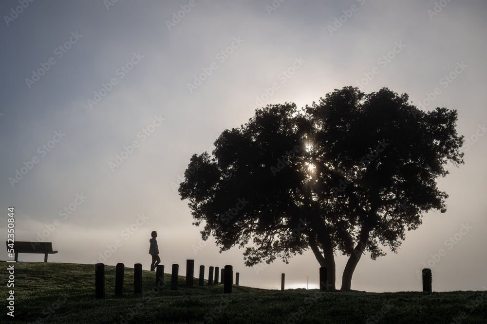 Silhouette woman walking in the fog among Pohutukawa trees.  Milford beach, Auckland.