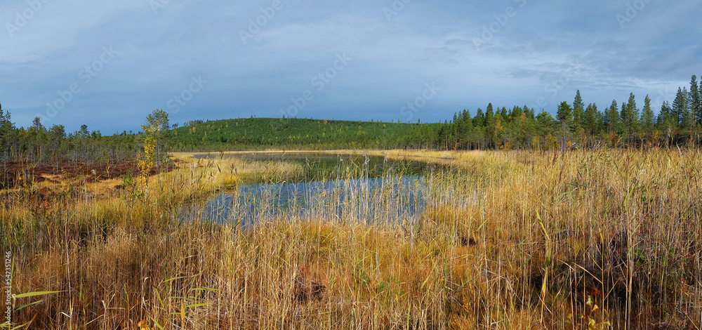 Lake Morttjarnen in Swedish Lapland in autumn