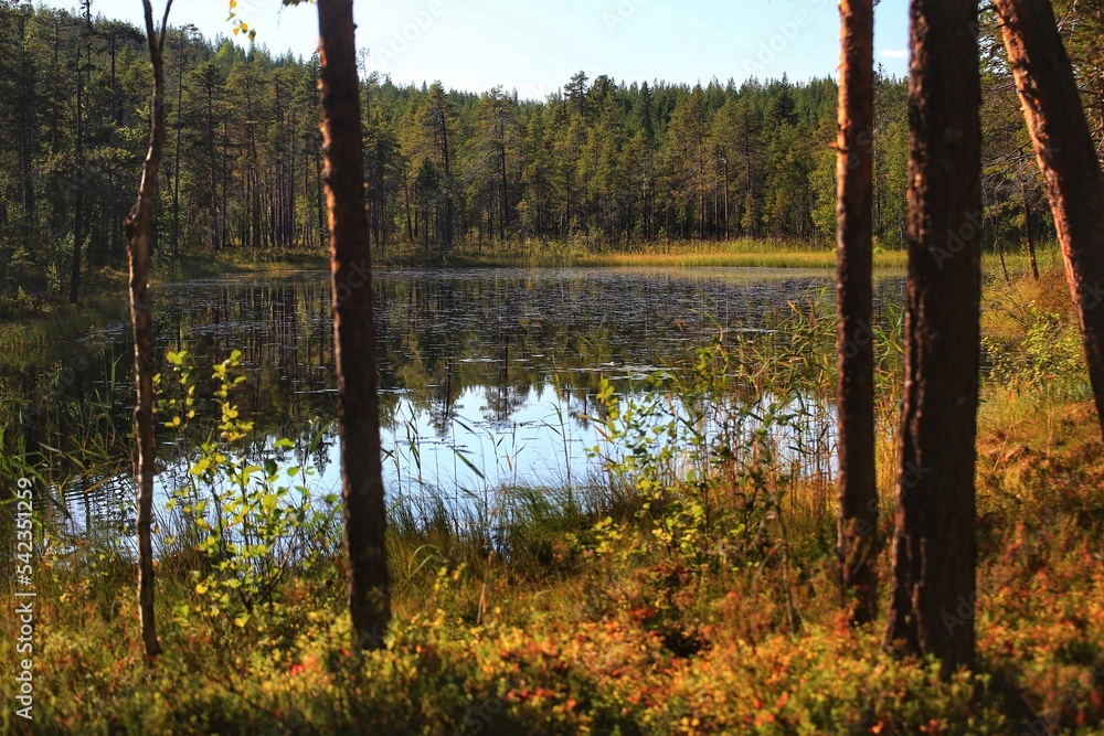 Backlit shot of small lake in the Swedish nature reserve Borup Backlit shot of small lake in the Swedish nature reserve Borup