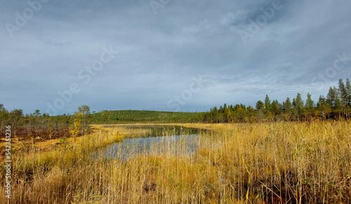 Lake Morttjarnen in Swedish Lapland in autumn