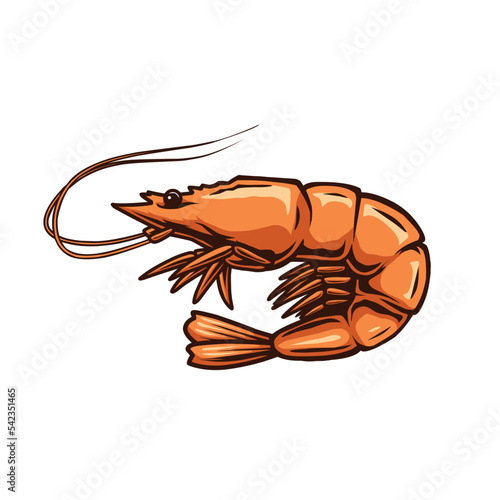 shrimp vector design