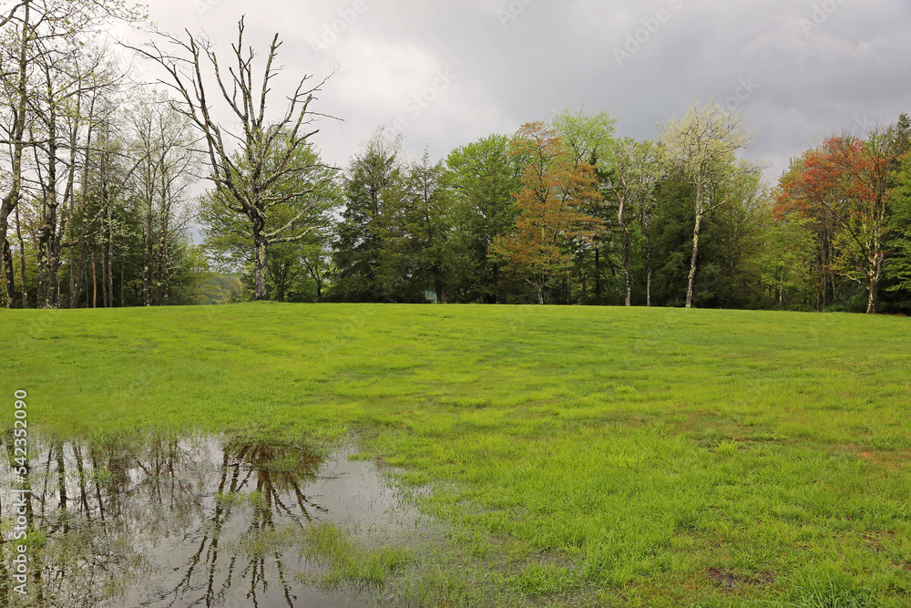 The meadow in the rain - West Virginia