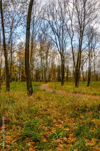 Autumn landscapes in the Sergeevka park on the territory of the former estate of the Leuchtenbergskys in the Leningrad region.