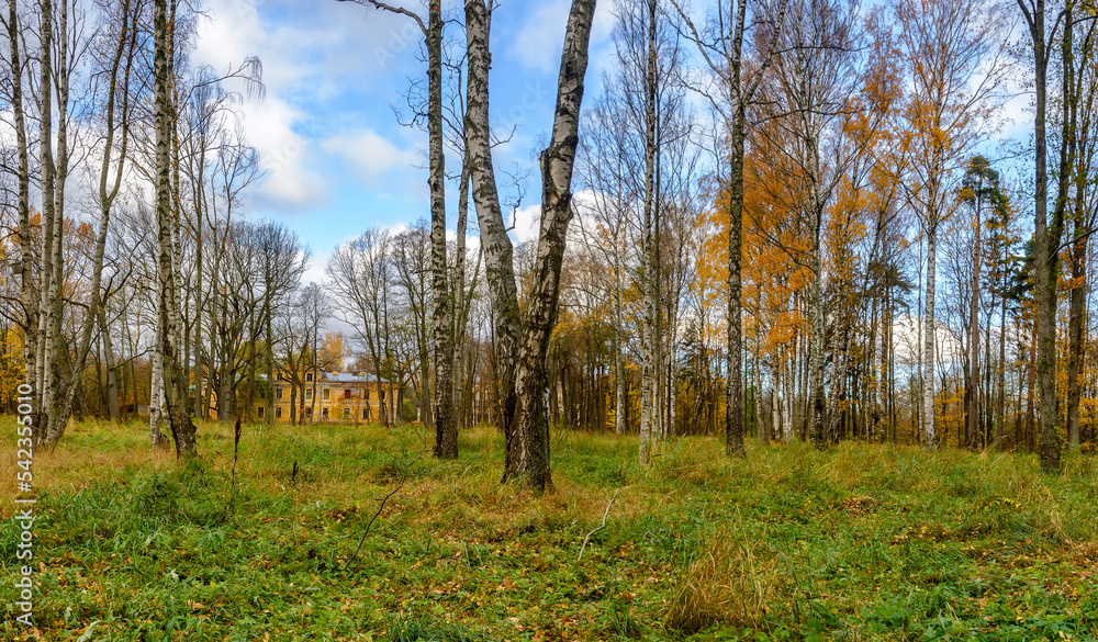 Autumn landscapes in the Sergeevka park on the territory of the former estate of the Leuchtenbergskys in the Leningrad region. Autumn landscapes in the Sergeevka park on the territory of the former estate of the Leuchtenbergskys in the Leningrad region.