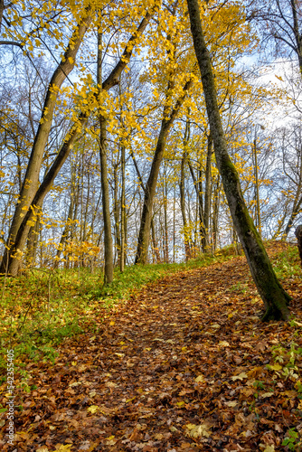 Autumn landscapes in the Sergeevka park in the Leningrad region.