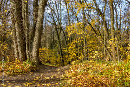 Autumn landscapes in the Sergeevka park in the Leningrad region.