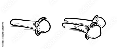 Hand drawn spice cloves set of objects. Doodle sketch style. Line drawing of simple carnation buds. Isolated vector illustration in a linear style.