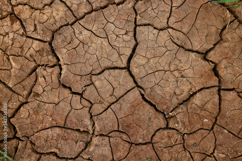 cracks on the ground desert texture background earth climate ecology cracks on the ground desert texture background earth climate ecology