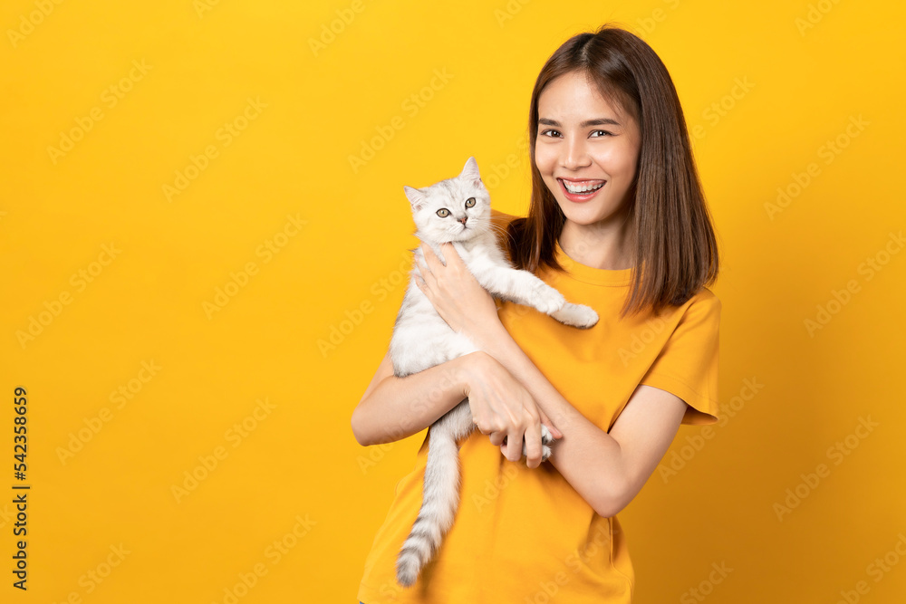 Studio shot of cheerful beautiful Asian woman hands holding a small white kitten with black stripes, of the Scottish fold breed on orange background. Studio shot of cheerful beautiful Asian woman hands holding a small white kitten with black stripes, of the Scottish fold breed on orange background.