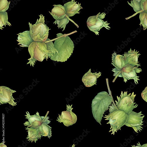 Seamless pattern with green hazelnut fruits with spiny husks and leaves (Corylus avellana, common hazel, cobnuts, forest filbert). Watercolor hand drawn painting illustration, isolated on black