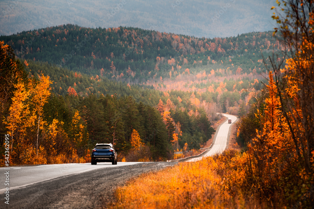 Road with yellow trees in autumn mountains. Car driving on the asphalt road.