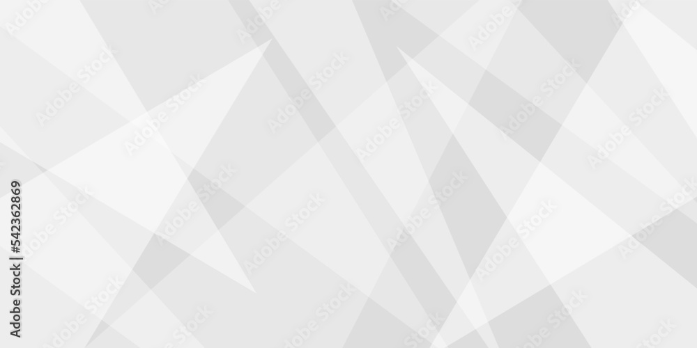 white and grey glossy squares abstract tech banner design .Geometric lines angles and triangle shapes Texture of an old surface .white crumpled paper, abstract geometric, luxury, with lines .Vector white and grey glossy squares abstract tech banner design .Geometric lines angles and triangle shapes Texture of an old surface .white crumpled paper, abstract geometric, luxury, with lines .Vector