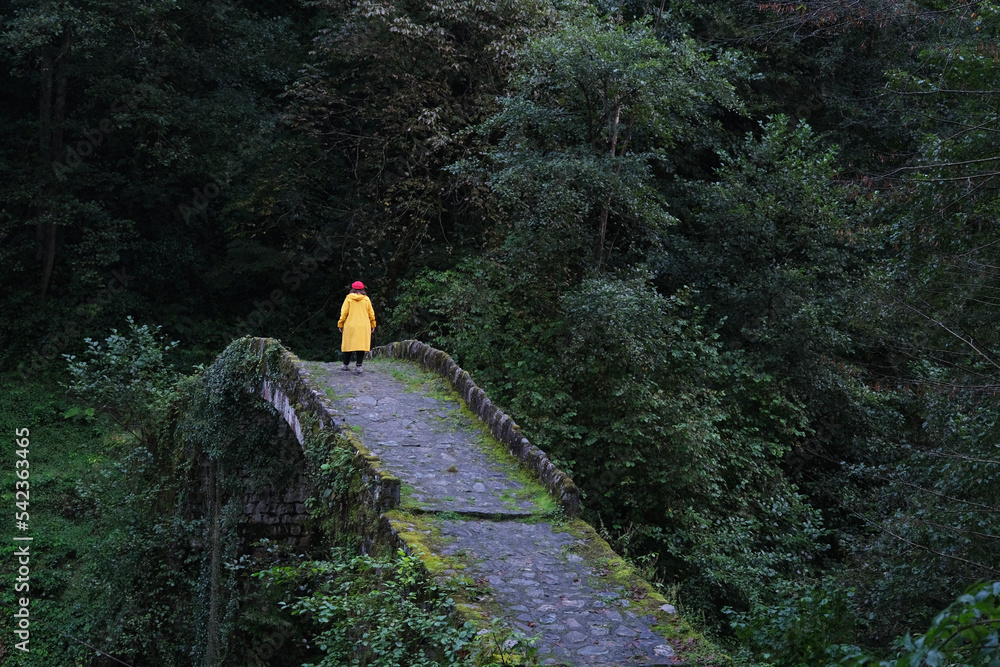 woman in yellow coat walking on historical stone bridge on a rainy day ...