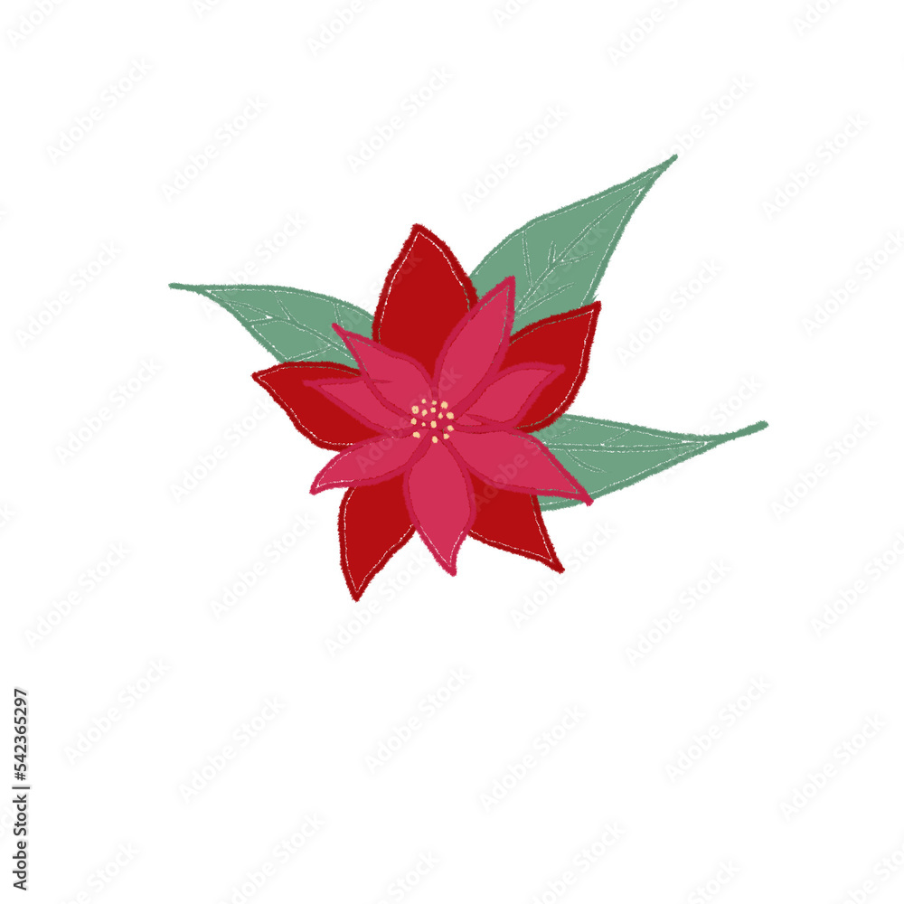 Flower Flower
