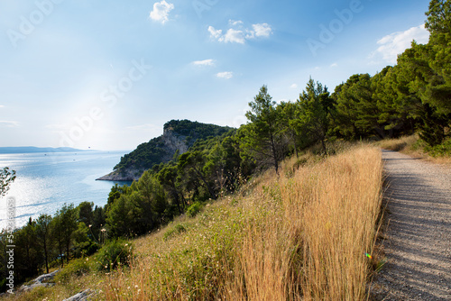 Fototapeta Naklejka Na Ścianę i Meble -  Makarska, Croatia landscape of running path. 