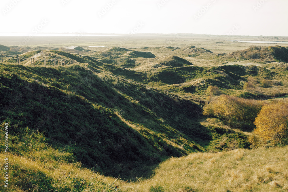 Naklejka premium north german dune landscape on with meadow in sunlight