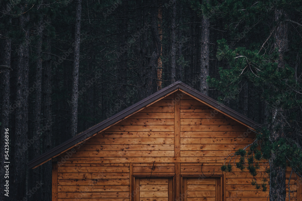 Forest cottage home in pine woodland at night - obrazy, fototapety, plakaty 