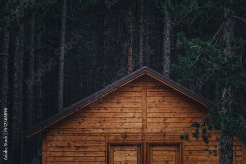 Fotografiet Forest cottage home in pine woodland at night