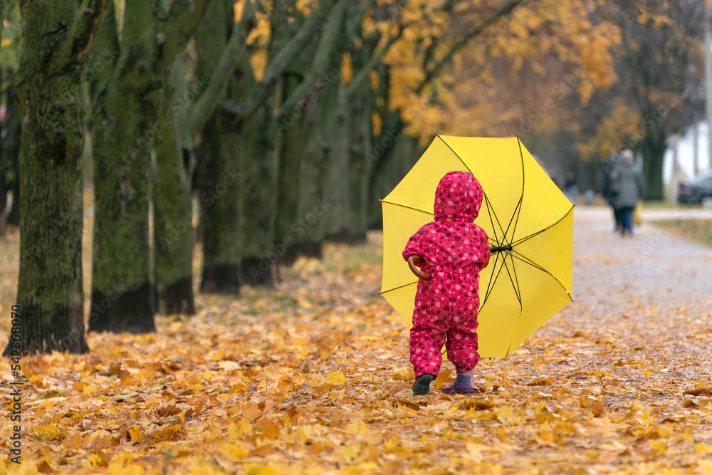 Walking under rain. Child with yellow umbrella is walking in the autumn park. Yellow foliage underfoot. Back view