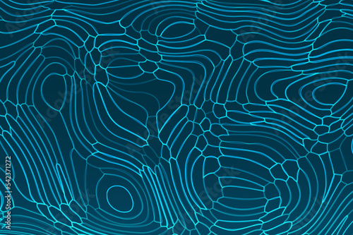 Abstract lines and contours