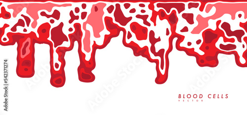 Human red blood cells.