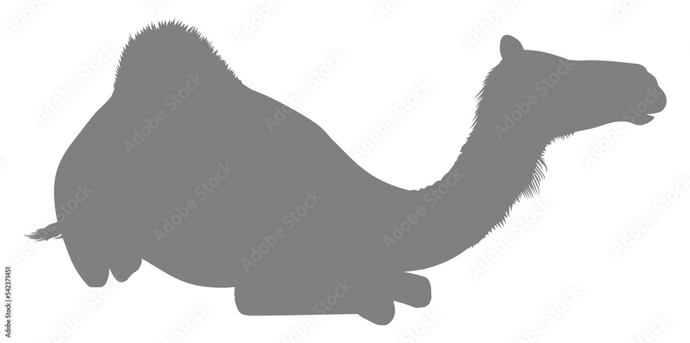 Camel Silhouette for Logo, Pictogram, Website, Apps, Art Illustration or Graphic Design Element. Format PNG
Camel Silhouette for Logo, Pictogram, Website, Apps, Art Illustration or Graphic Design Element. Format PNG