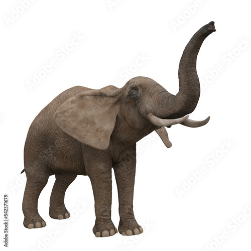 African elephant reaching up with trunk. 3D illustration. © IG Digital Arts