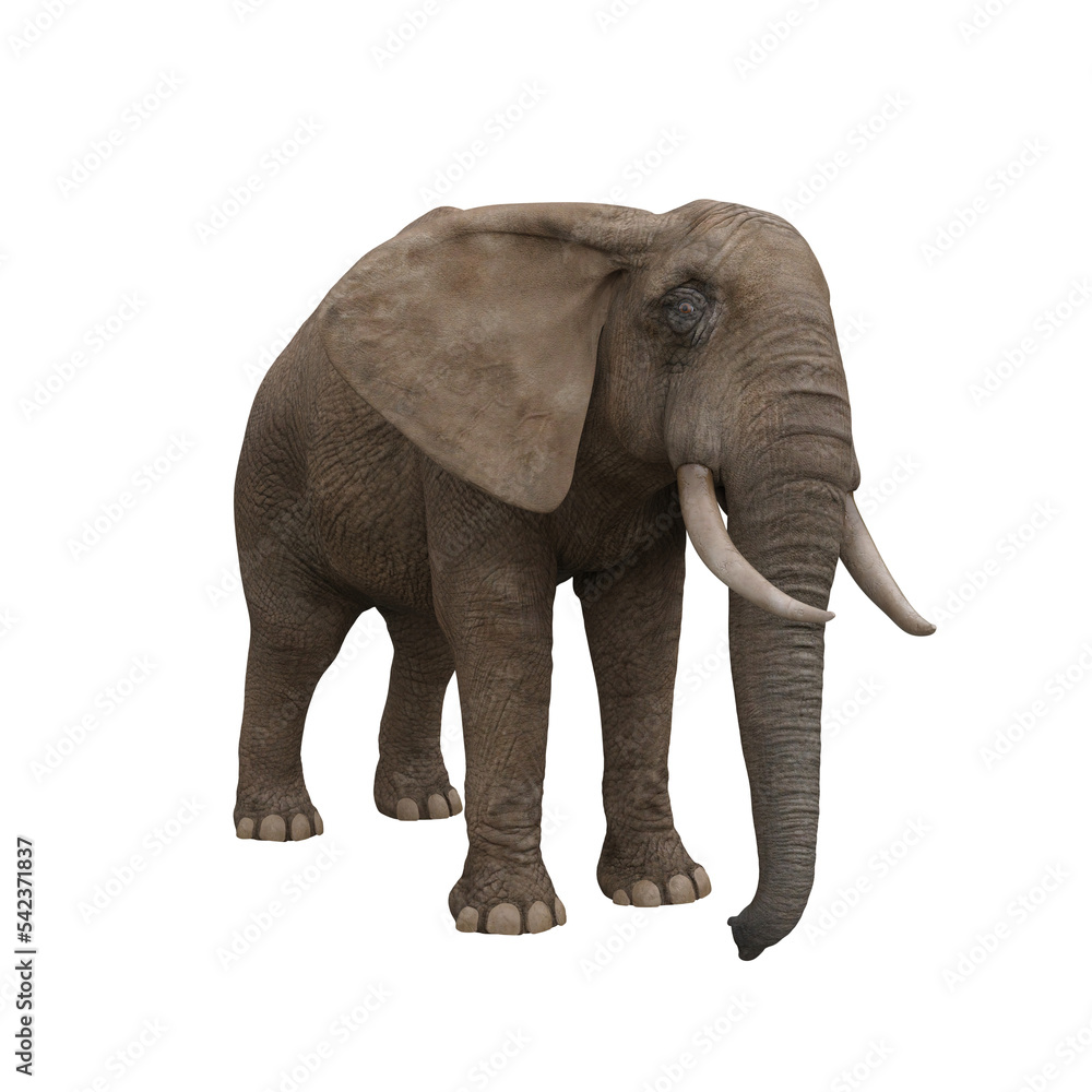 African elephant standing still. 3D illustration. African elephant standing still. 3D illustration.