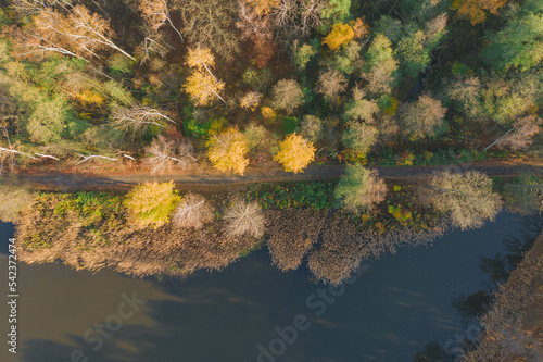 Zbiornik wodny, staw hodowlany położony na terenie lasu. Jest jesień, liście na drzewach mają żółty i brązowy kolor. Jest słoneczny dzień, niebo jest bezchmurne. Zdjęcie zrobiono z użyciem drona.
