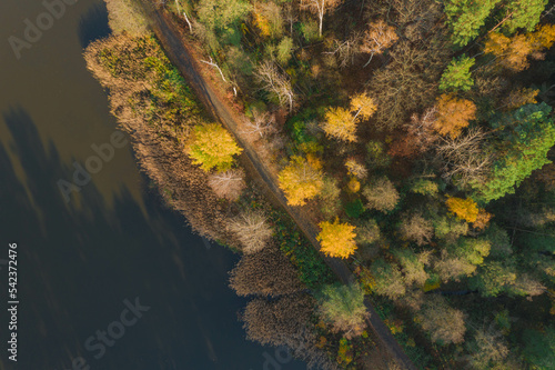 Zbiornik wodny, staw hodowlany położony na terenie lasu. Jest jesień, liście na drzewach mają żółty i brązowy kolor. Jest słoneczny dzień, niebo jest bezchmurne. Zdjęcie zrobiono z użyciem drona.