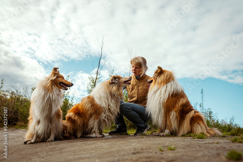 Woman with collie dogs crouching under cloudy sky in nature photo