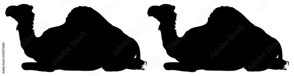 Camel Silhouette for Logo, Pictogram, Website, Apps, Art Illustration or Graphic Design Element. Format PNG
Camel Silhouette for Logo, Pictogram, Website, Apps, Art Illustration or Graphic Design Element. Format PNG