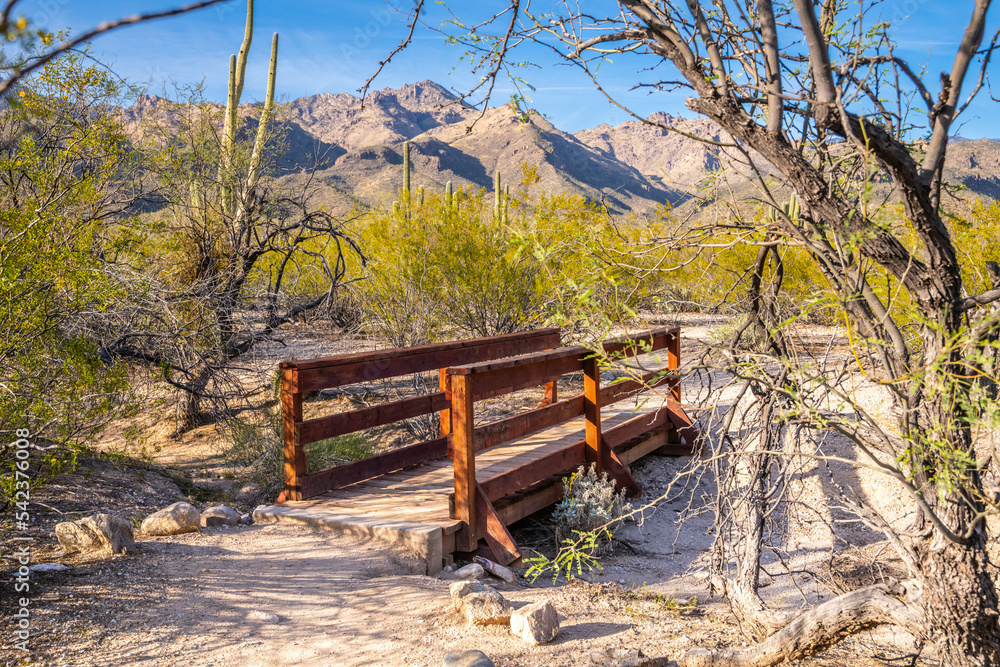 Fototapeta premium An overlooking view of Tucson, Arizona